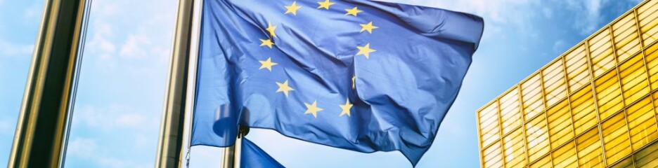 Украинцам с 2025 года придется оформлять платное разрешение на въезд в ЕС