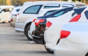 Ринок уживаних автомобілів у жовтні: стабілізація та сплеск імпорту перед змінами оподаткування