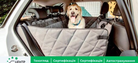 Новый штраф для водителей в Украине: что хотят ввести нардепы