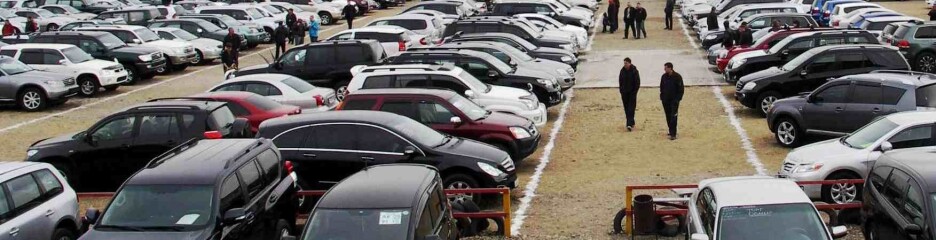 Безкоштовне паркування у Києві для ветеранів: як оформити пільгу та не отримати штраф