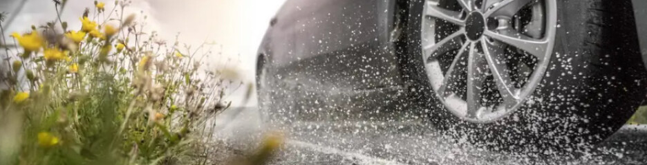 Топ-10 летних шин 2026 года: оптимальный баланс «цена-качество» для безопасной езды