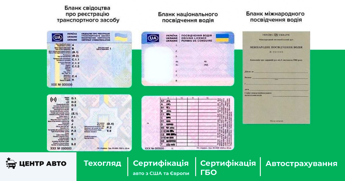 Генератор водительских прав программа